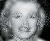 image-20210524010515937